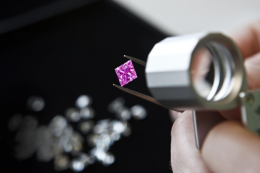 A closeup of a pair of tweezers holding vivid pink diamond