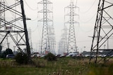 An image of high voltage powerlines outside Melbourne