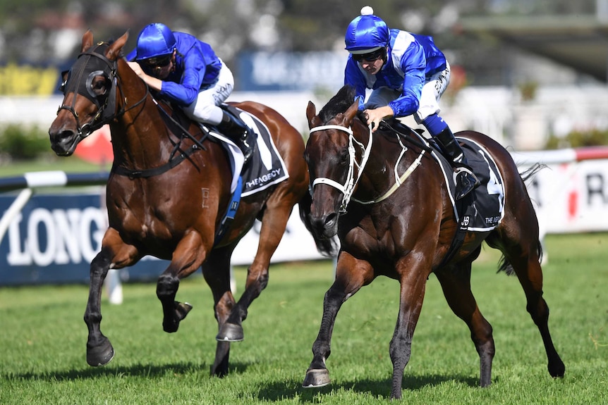 Winx races up the outside to win the George Ryder Stakes at Rosehill.