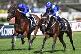 Winx races up the outside to win the George Ryder Stakes at Rosehill.