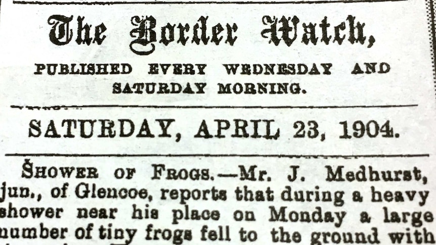Border Watch newspaper 1904