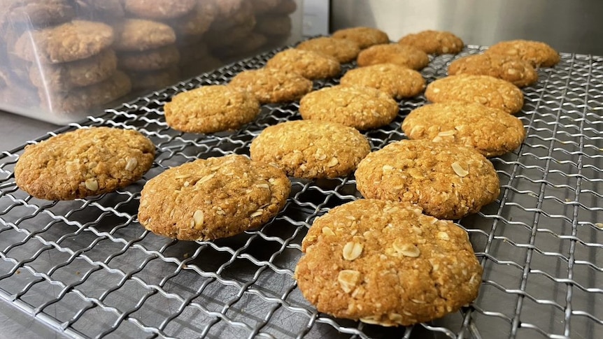 Golden-brown Anzac biscuits in a row on a baking tray.