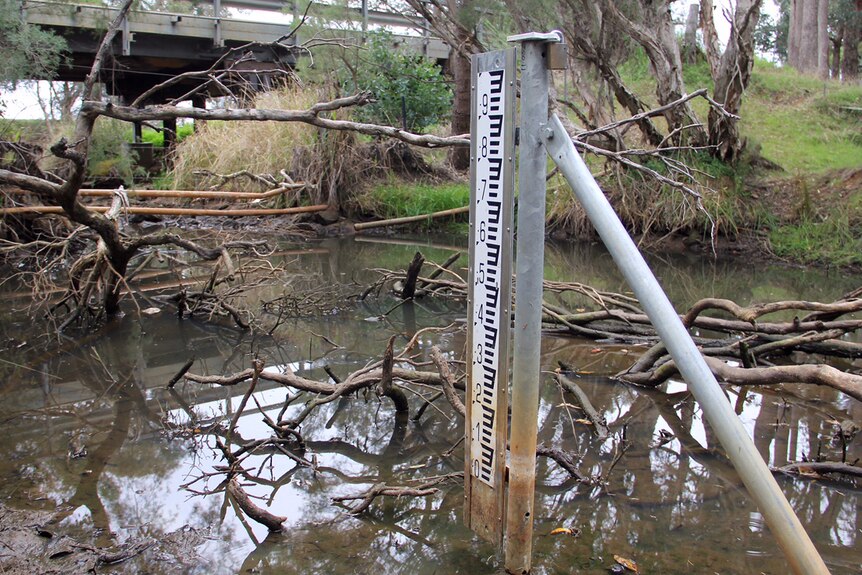 A water level measure - Farmers in Dandalup, south of Perth blame the Department of Water for not releasing enough water into a river