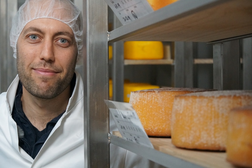 A man stands next to whole cheese rounds on shelves