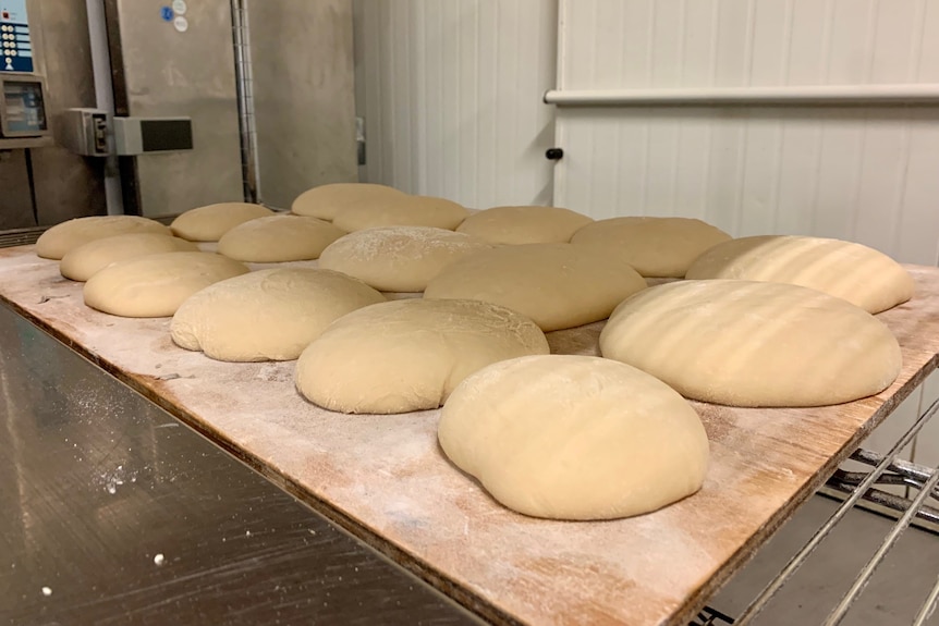 Balls of bread dough sitting on a drying rack while they rise. 