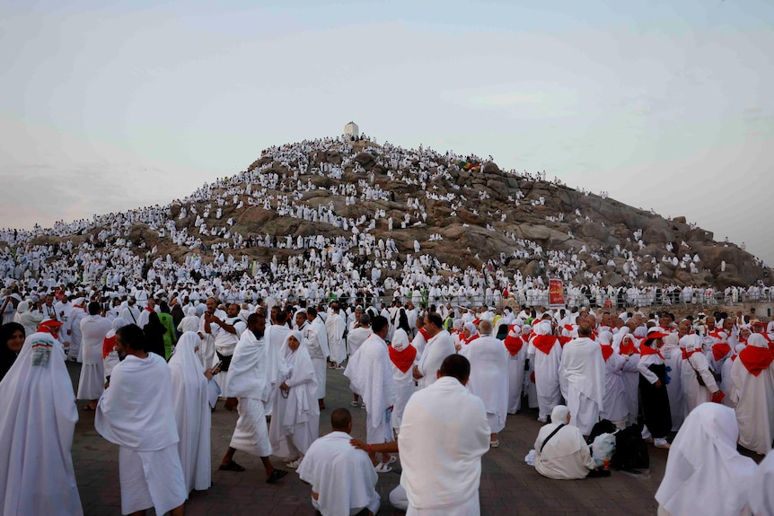 Muslim pilgrims gather on the Mount of Mercy