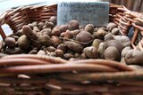 Organic vegetables at the farm gate