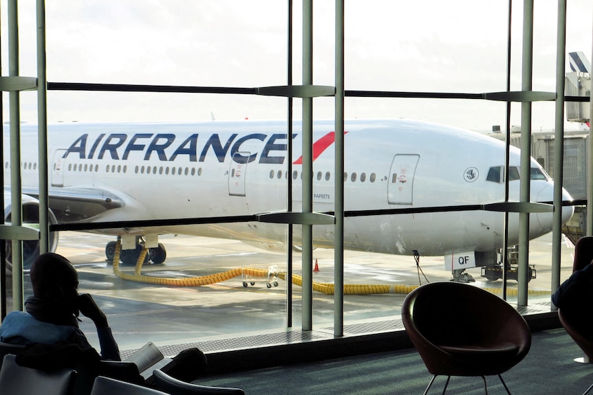 A white airplane with the blue and red logo of Air France is pictured from inside the airport Paris Charles de Gaulle.