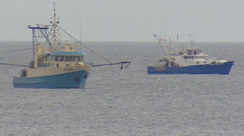 Prawn trawler crews worried about the future for fishing in Spencer Gulf