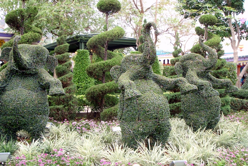 Photo of trees in Disneyland, China