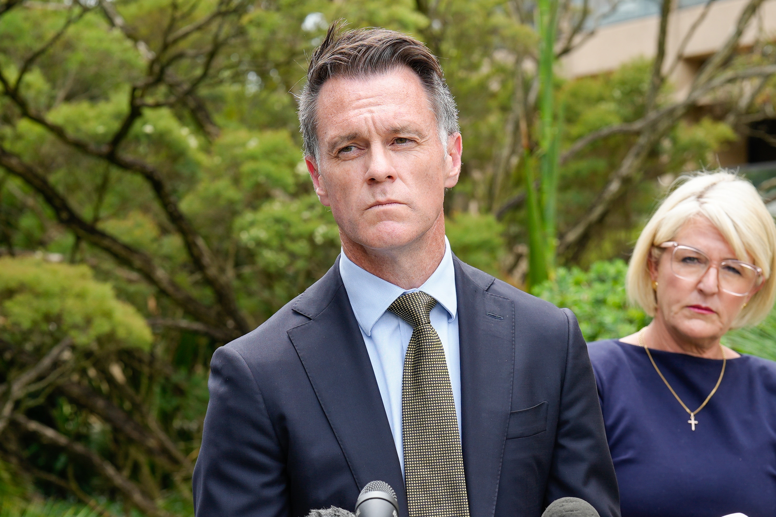 NSW Premier calls Pauline Hanson's comments 'racist'