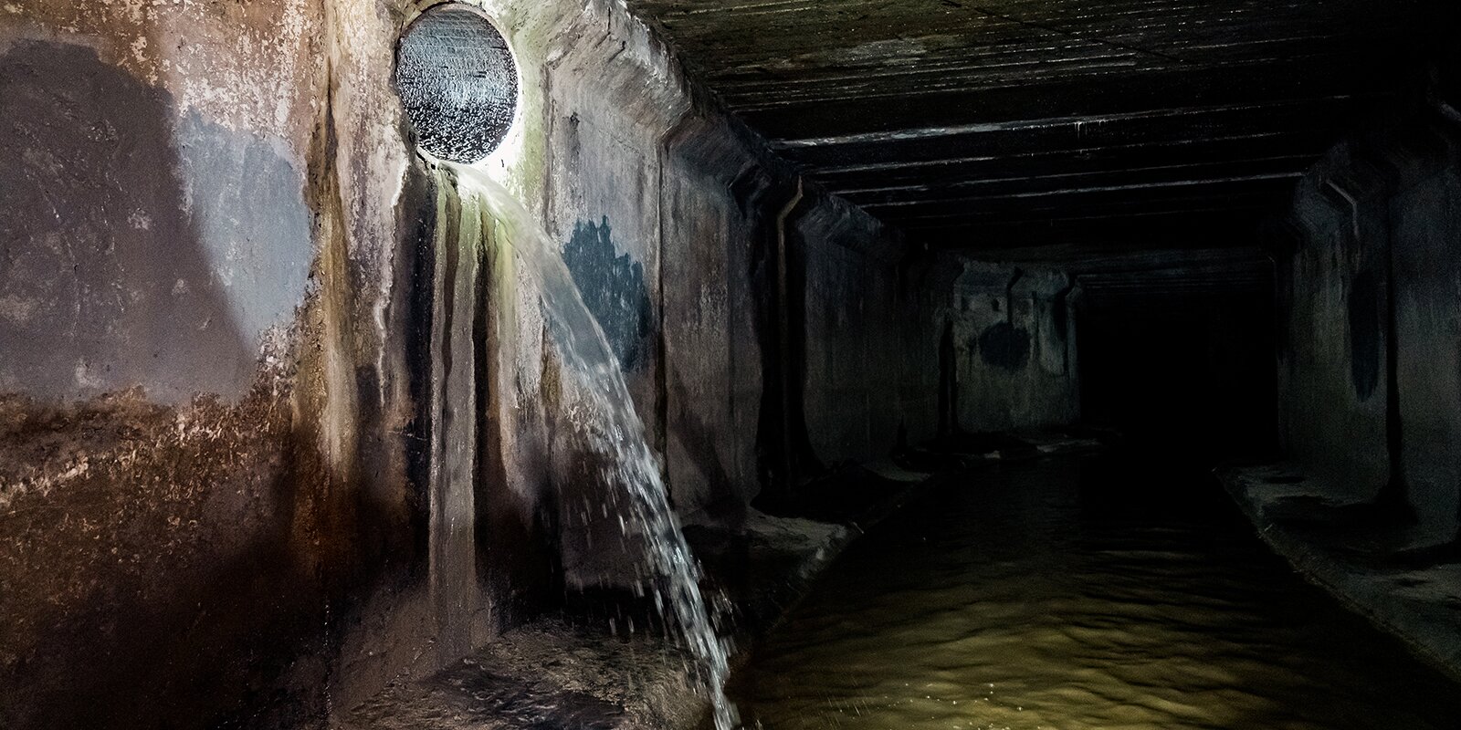 Eight people die in Moscow sewer after tour group trapped by flash