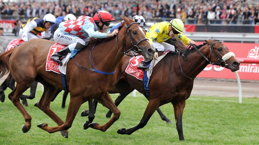 Red Cadeaux and Dunaden surge to the line in the 2011 Melbourne Cup.