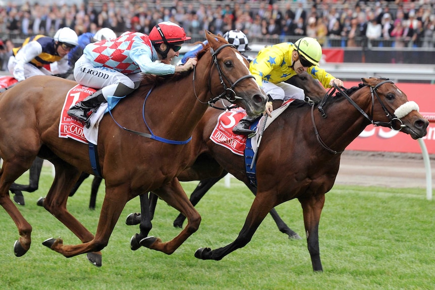 Red Cadeaux and Dunaden surge to the line in the 2011 Melbourne Cup.