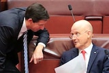 Simon Birmingham talks to David Leyonhjelm in the Senate
