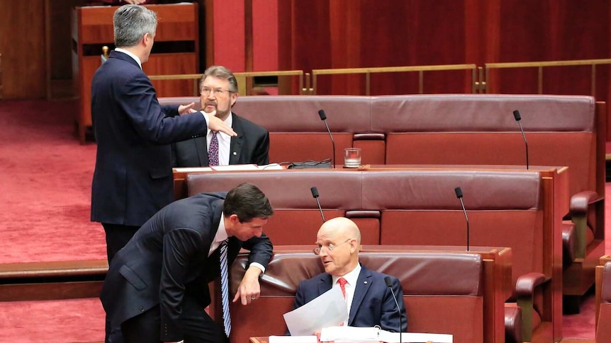 Simon Birmingham talks to David Leyonhjelm in the Senate