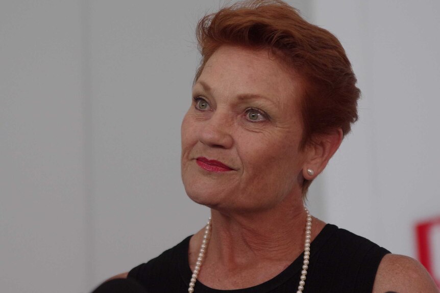 A head and shoulders shot of Pauline Hanson.