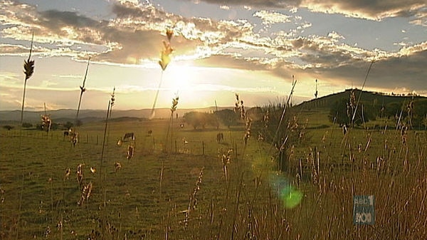 Sunlight behind a farm