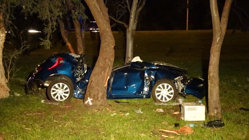 The wreck of a blue car lies crumpled on grass next to a tree with its roof torn off after crashing.
