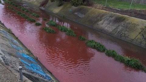 The Stony Creek is reddish-brown in colour as it flows down a concrete water channel.