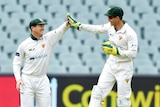 A Tasmanian cricketer smiles and high fives a wicketkeeper jumping in the air to celebrate a Shield wicket.