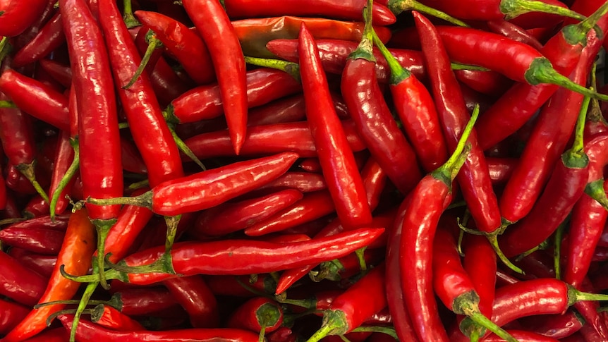 A pile of red chilli