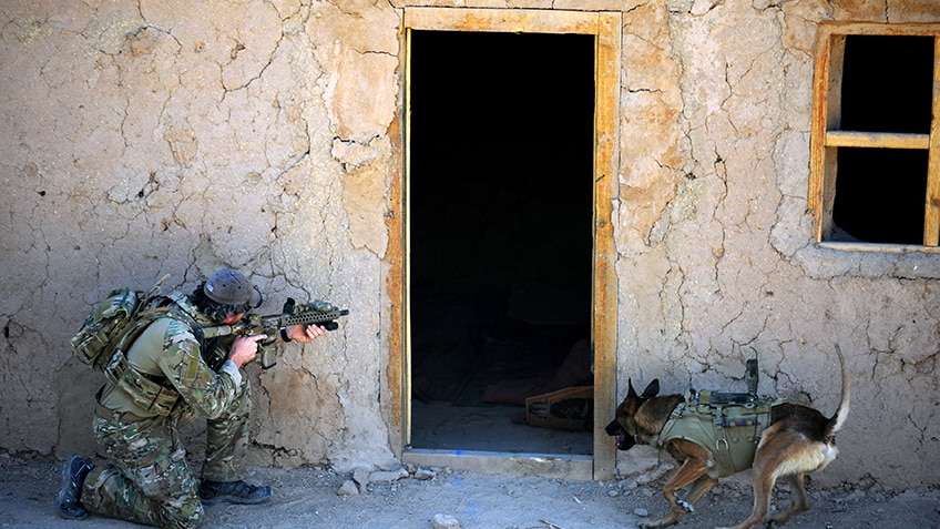 A soldier and a dog.