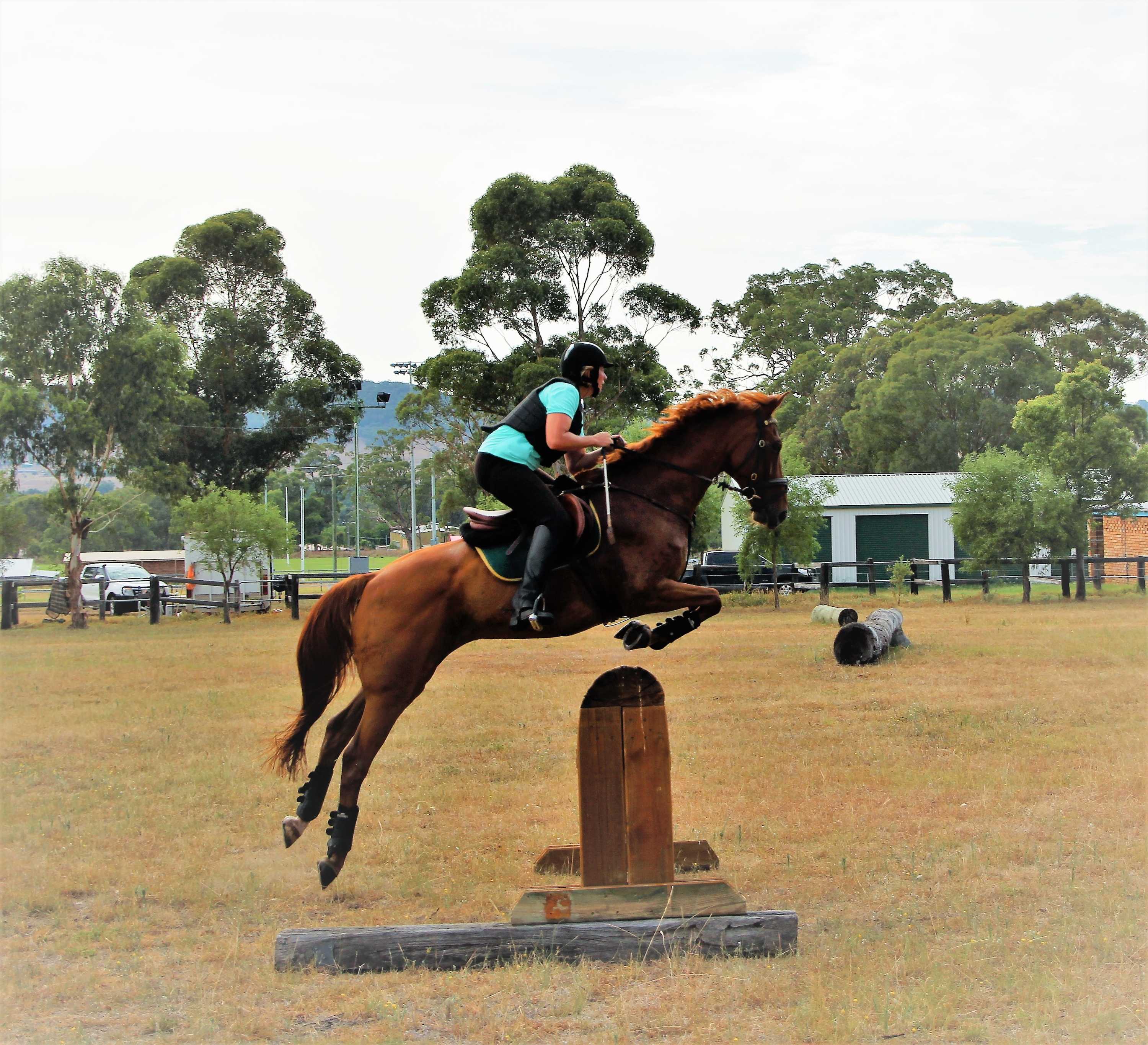 equestrian jumping online