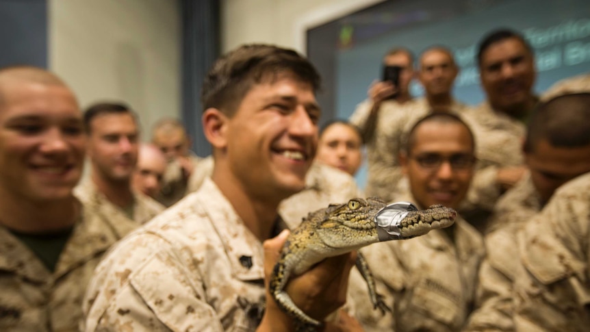 A group of Marine hold a baby crocodile