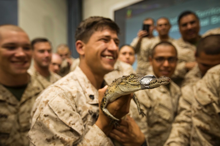 A group of Marine hold a baby crocodile