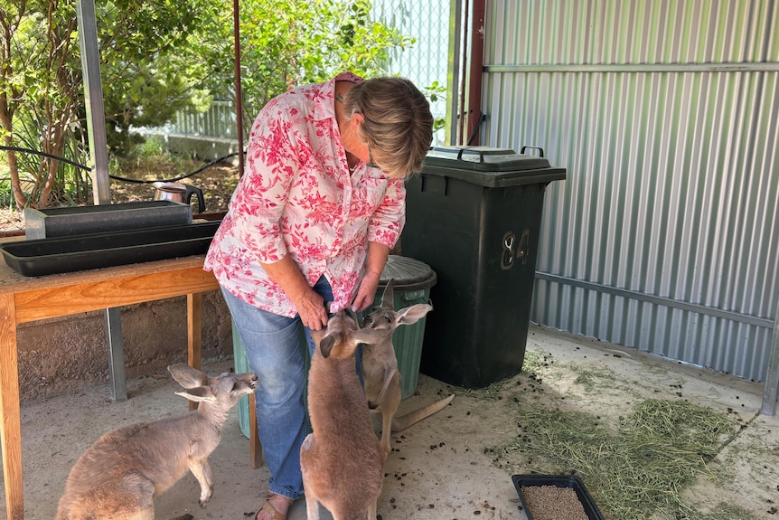 A woman in a pink floral shirt and three small joeys.