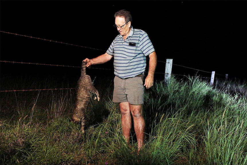 Central Queensland farmer Sib Torrisi holds up a dead feral cat caught at night in November 2017.