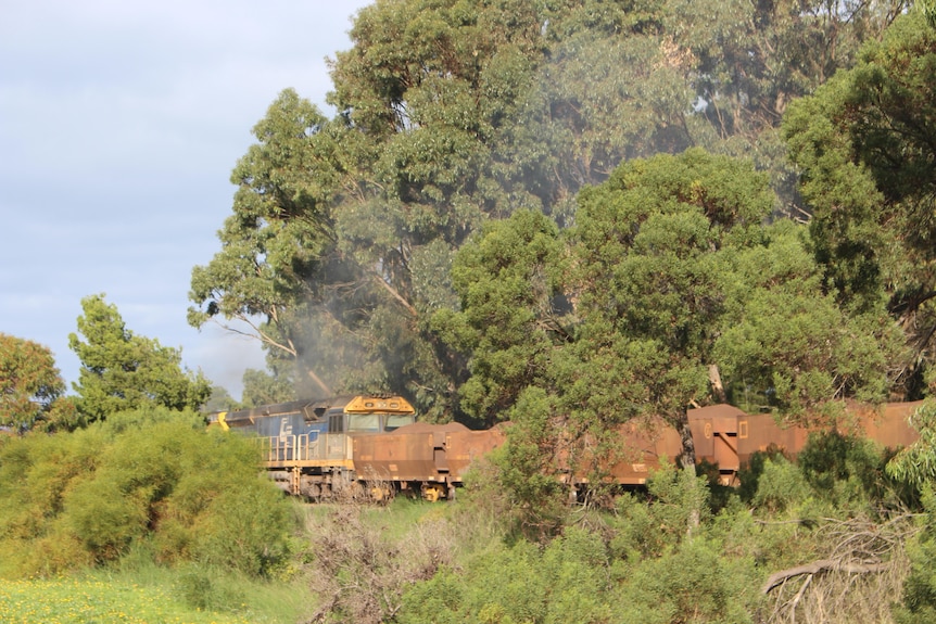 A train passes along a section of track fringed by tall trees and bush.