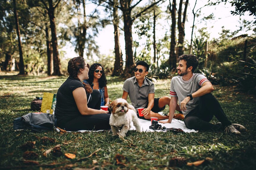 A group of young men and women having a picnic in nature with a small, happy dog in the middle of them