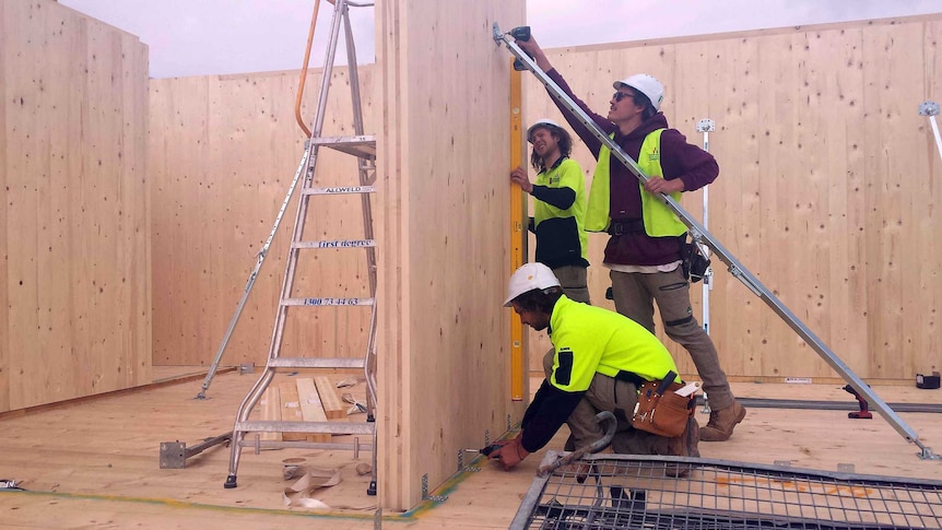 Tradesman work on the timber apartment.