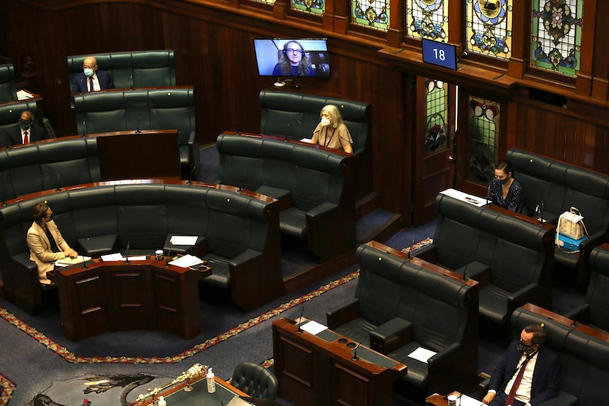 Katrina pictured on a video stream into the chamber at WA Parliament