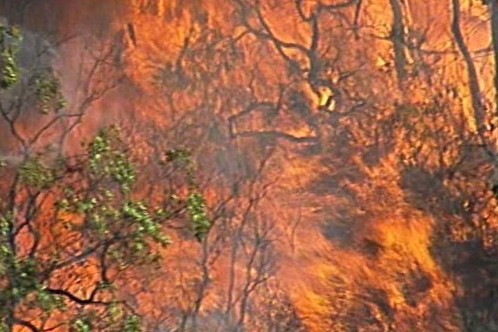 A bushfire rages at Mangrove Mountain on the NSW central coast