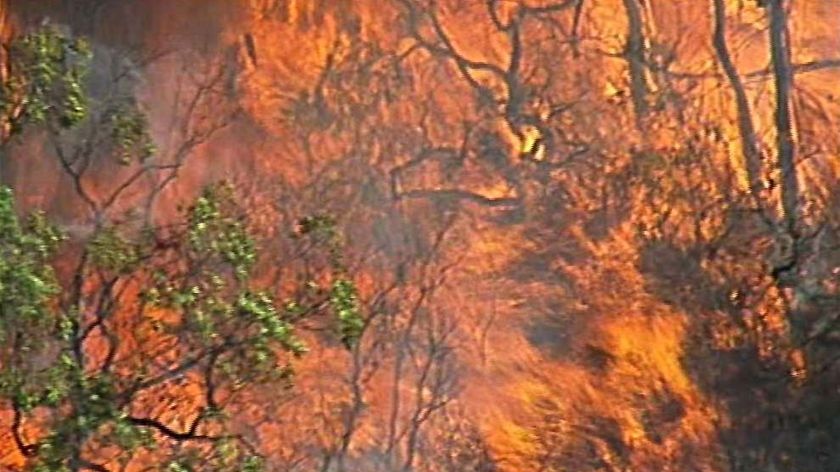 A bushfire rages at Mangrove Mountain on the NSW central coast