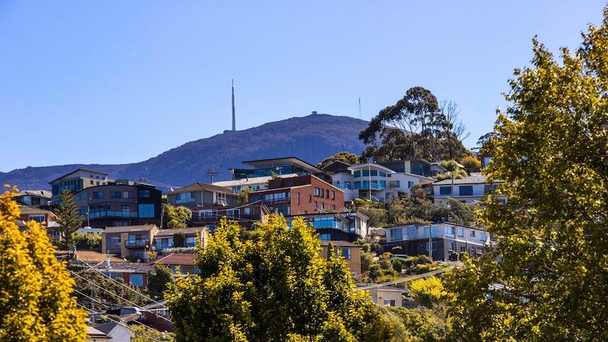 An aerial view of houses, with a mountain in the background.