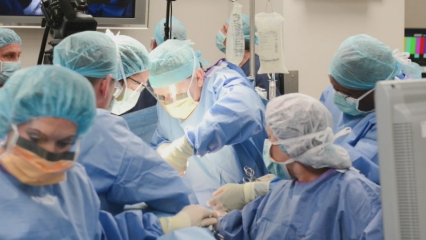 Surgeons at Mater Hospital in Brisbane perform spinal surgery on an in utero baby