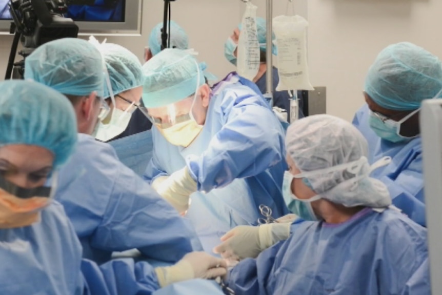 Surgeons at Mater Hospital in Brisbane perform spinal surgery on an in utero baby