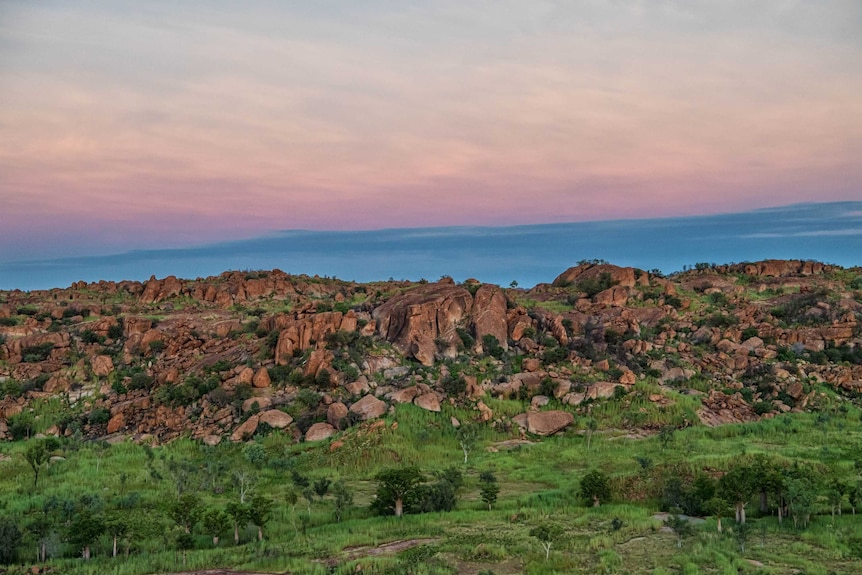 Sunrise across a rocky hill, bright green grass and trees, orange rock and pink and blue skies.