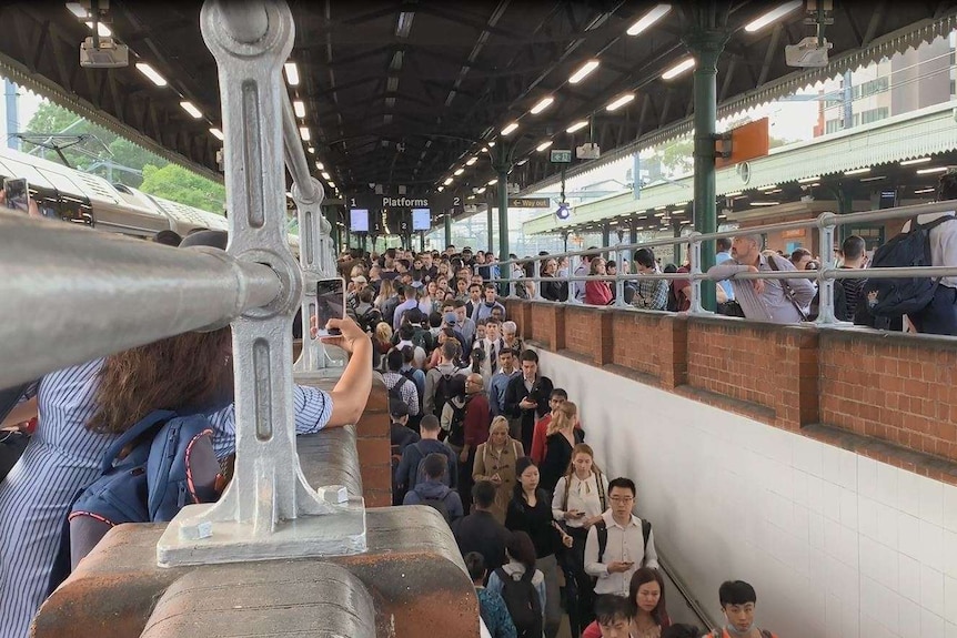 hundreds of people crammed onto train platforms, a student takes a photo