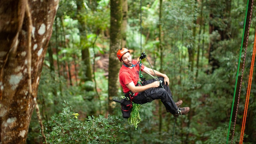 A man  hangs from a rope harness in the forest