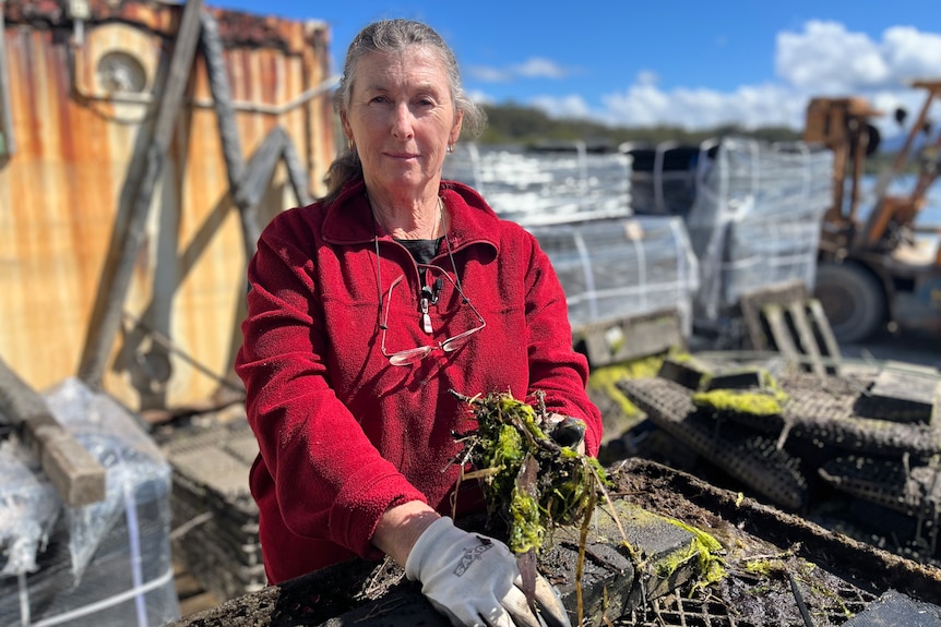 Woman holding twigs and mud over a tray of oysters.