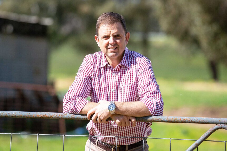 A man in a checked shirt leans on a farm gate