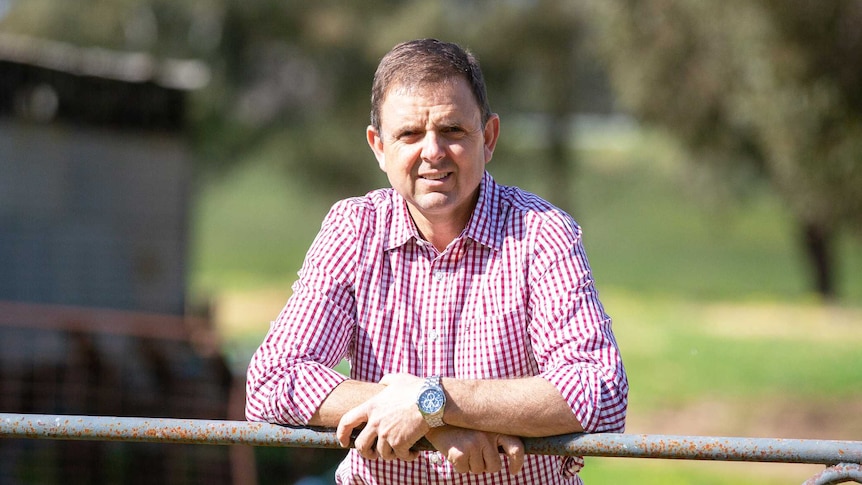 A man in a checked shirt leans on a farm gate