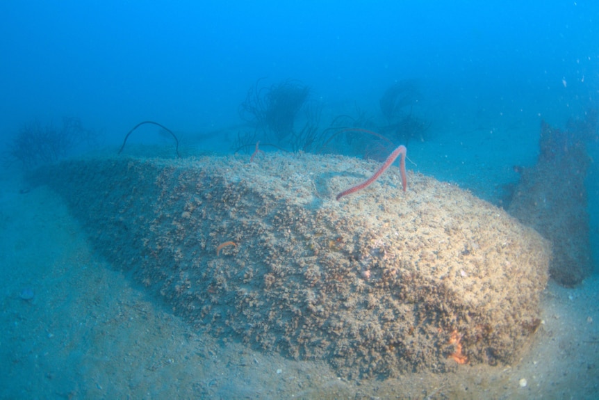 The wreck of RAAF Catalina A2425