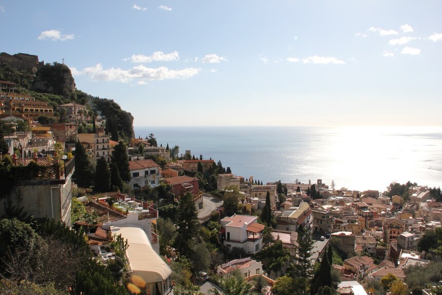 View down a hillside of trees and jumbled houses to a sparkly blue ocean.  