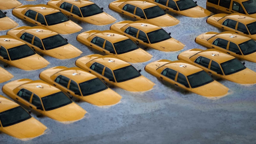 New Jersey taxis submerged in floodwater